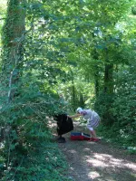 scène in het bos 2.webp